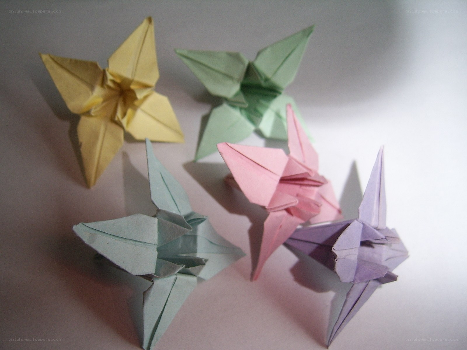 Colorful origami cranes