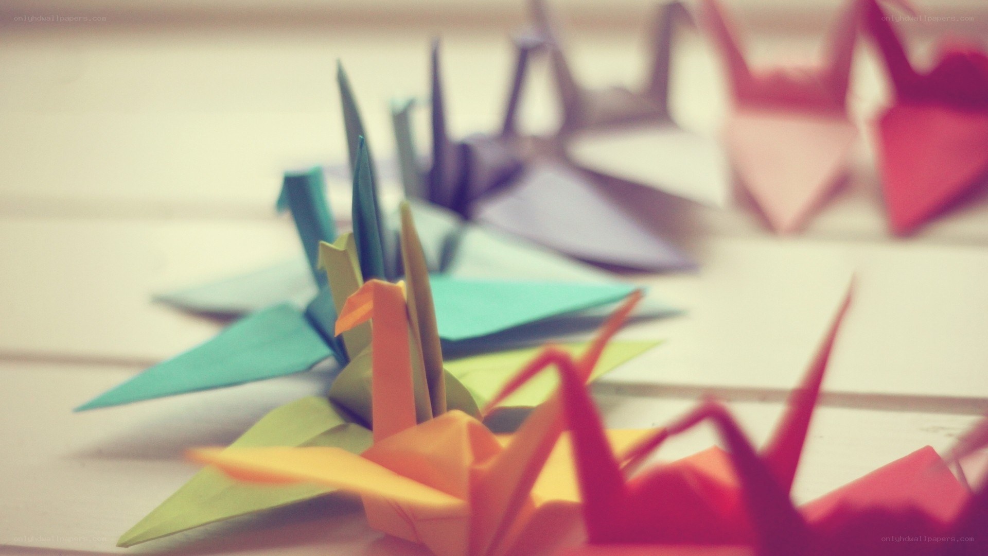 Colorful origami cranes