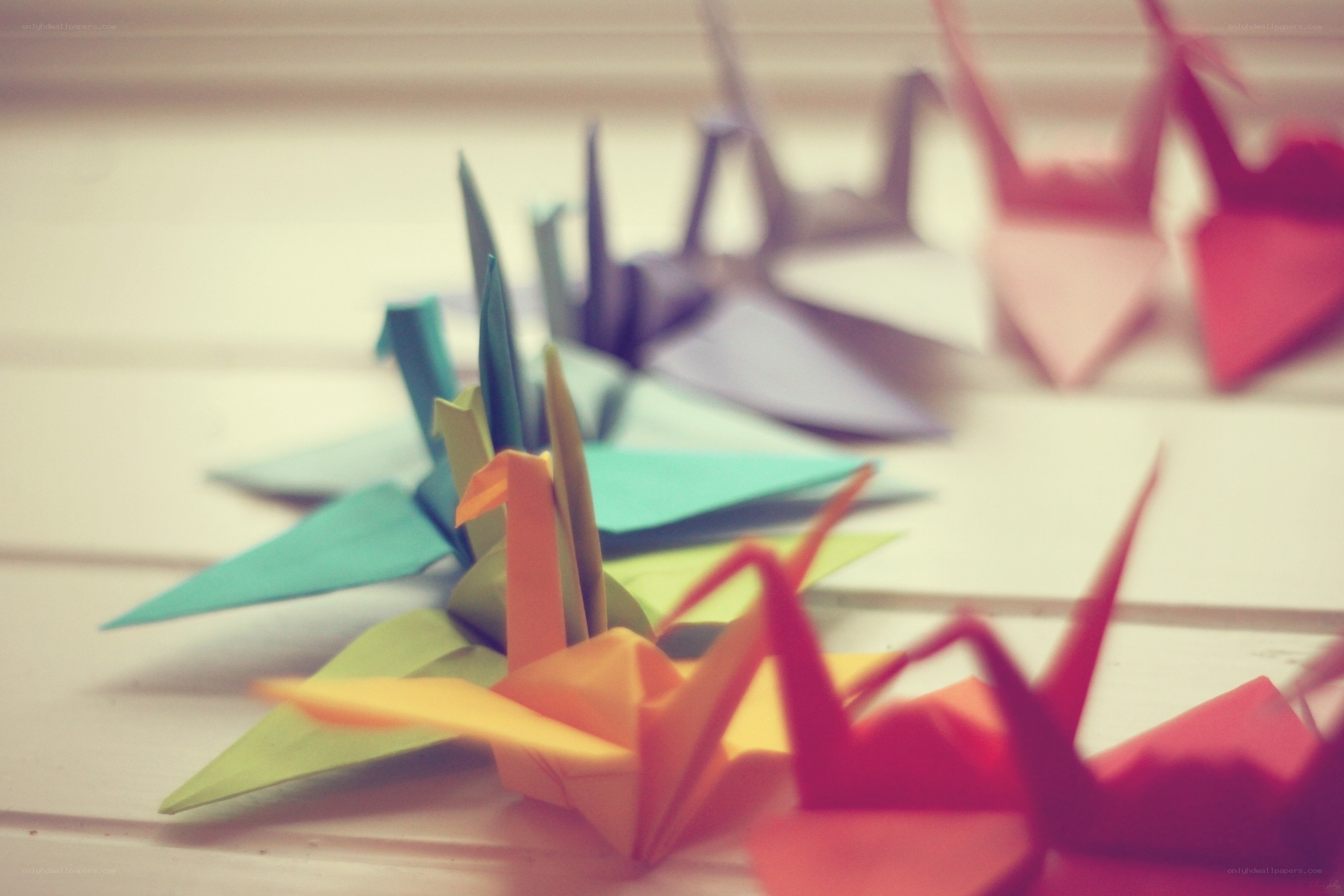 Colorful origami cranes