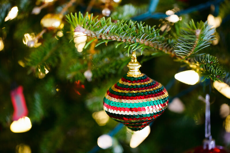 Colorful Ornament on Tree