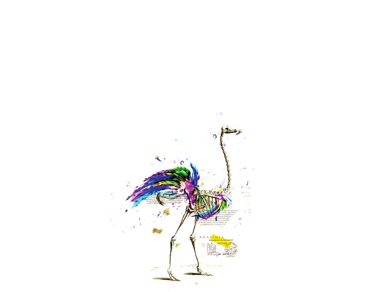 Colorful Ostrich Skeleton Art