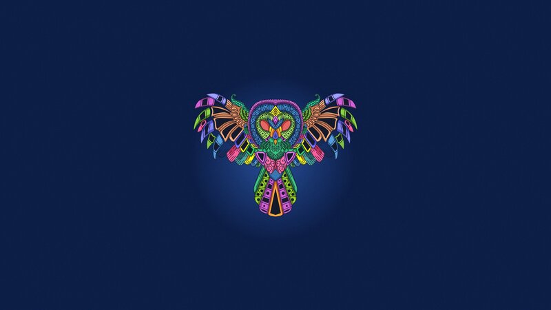 Colorful Owl Design
