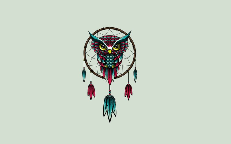 Colorful Owl Dreamcatcher — Teal