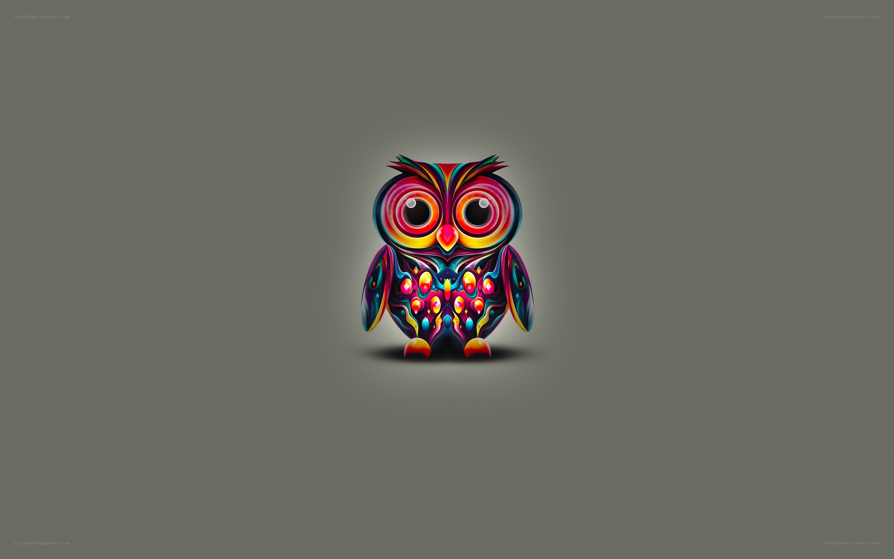colorful owl illustration