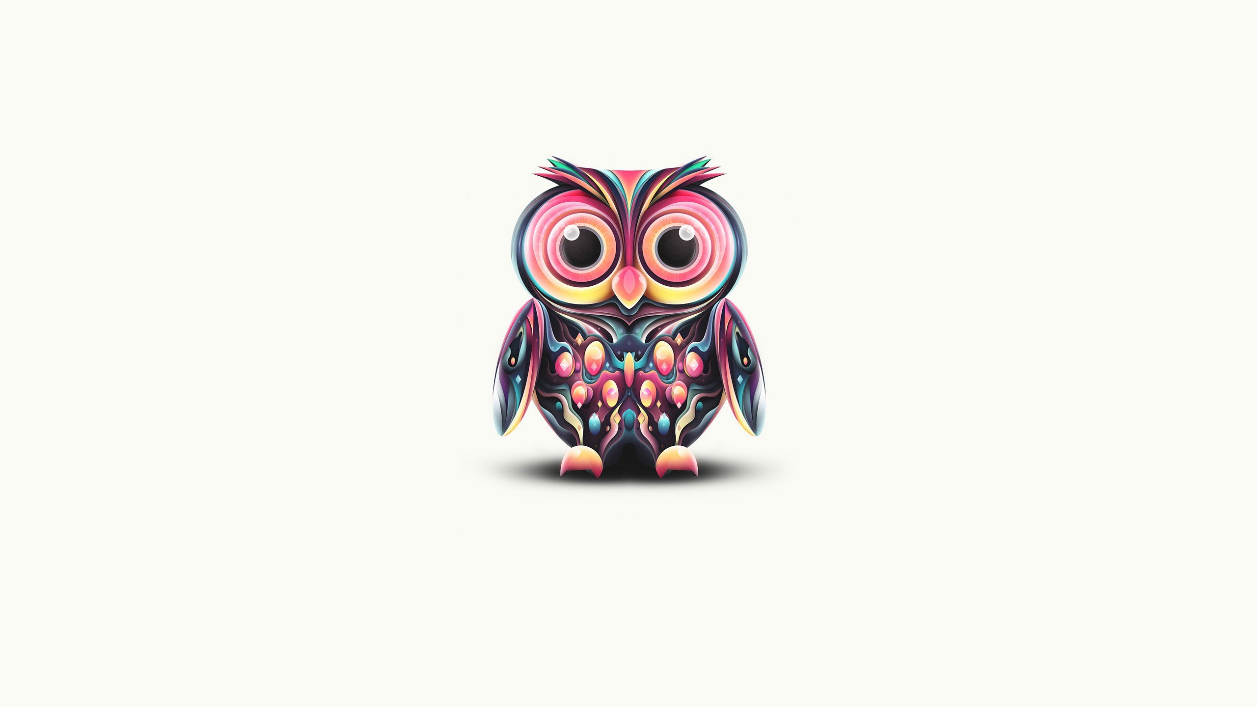 colorful owl illustration