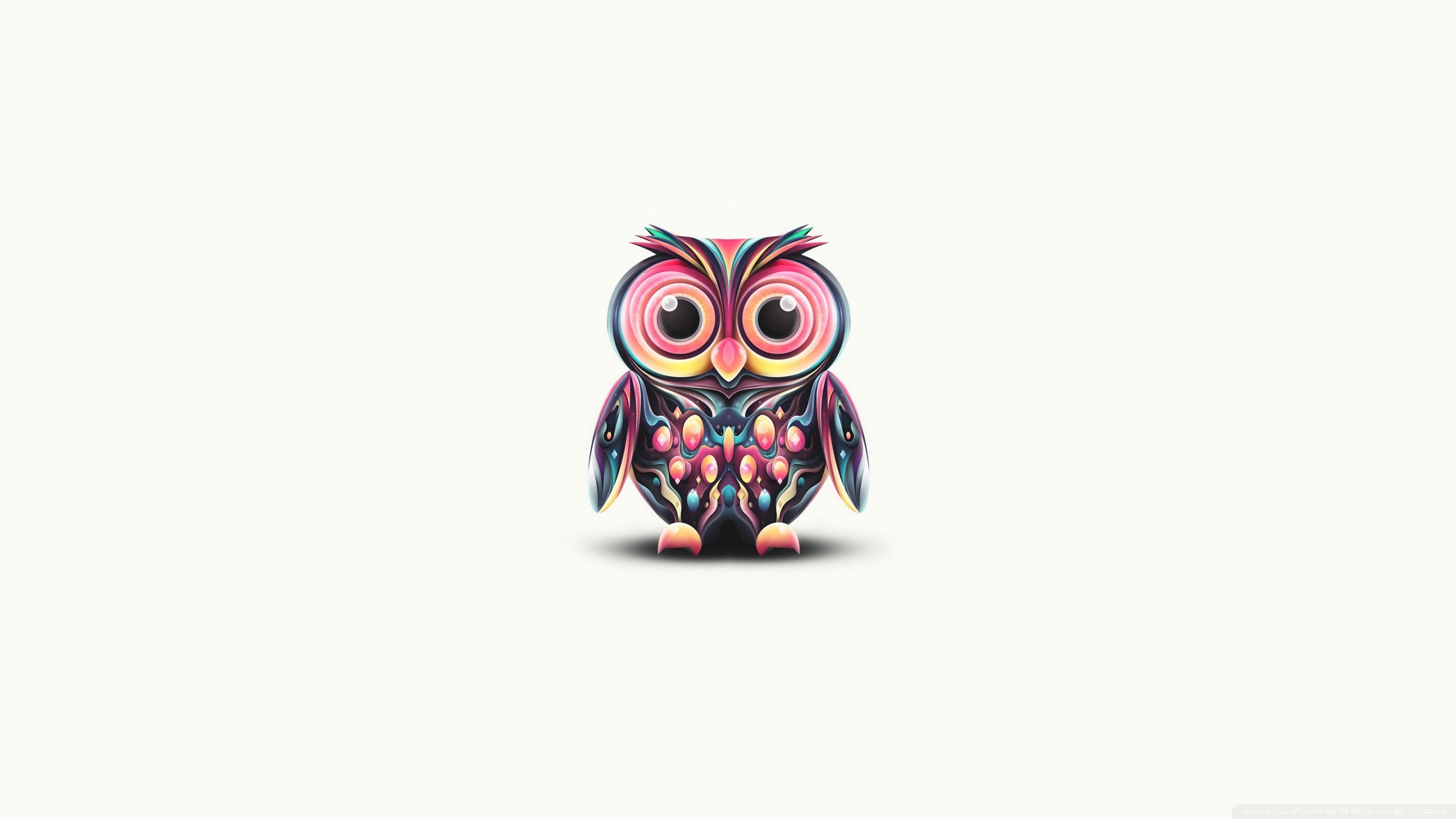 colorful owl illustration