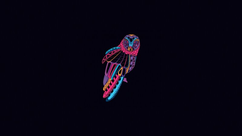 Colorful Owl Illustration — Black