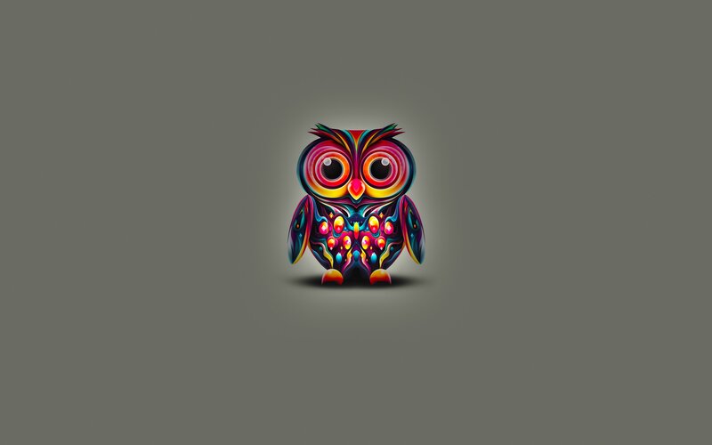 Colorful Owl Illustration — Black, Vibrant