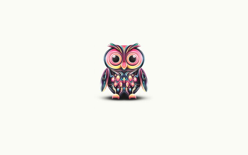 Colorful Owl Illustration — Pink, Playful