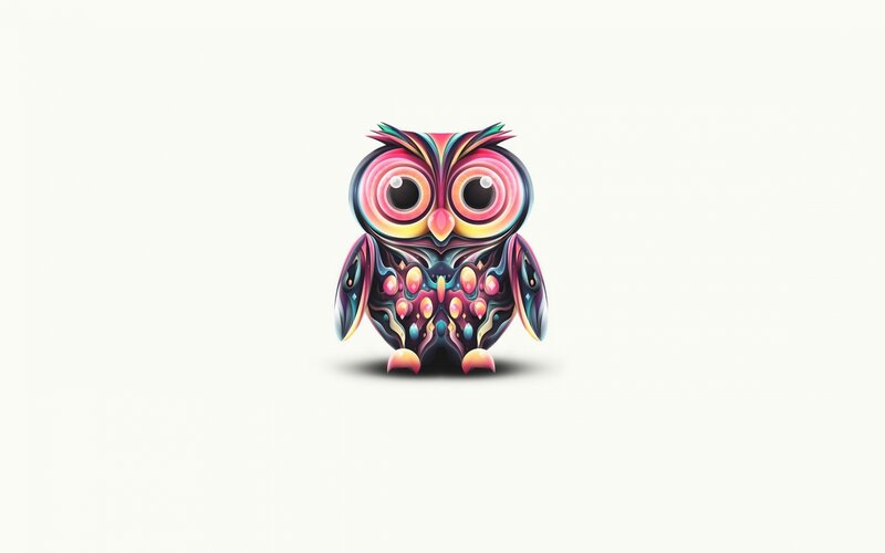 Colorful Owl Illustration — Pink