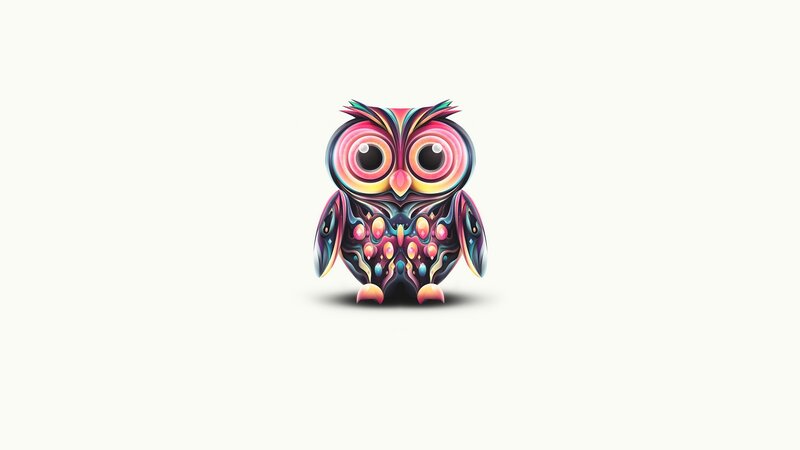colorful owl illustration