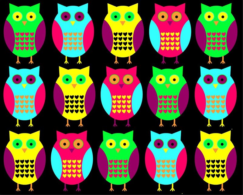 Colorful Owl Illustrations