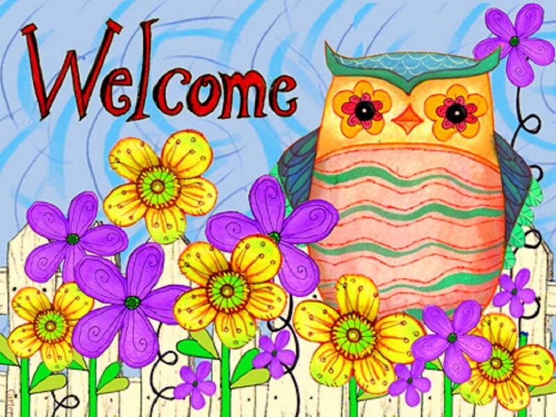 Colorful Owl in Garden