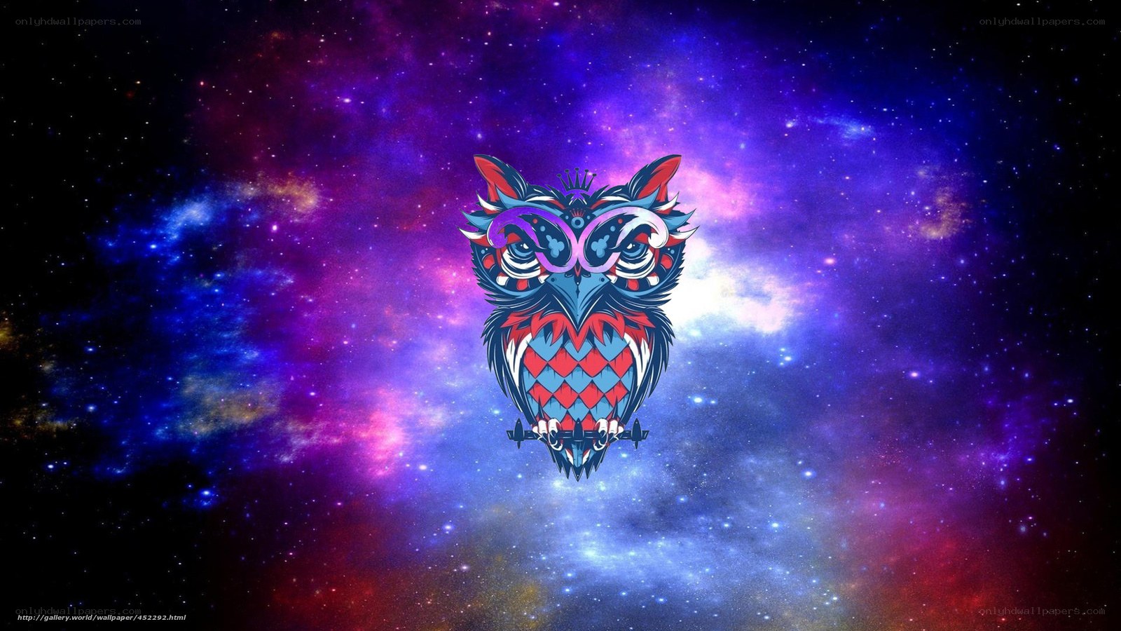 colorful owl in space