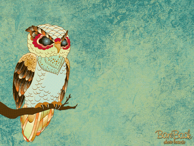 colorful owl on branch