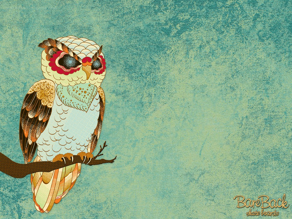 colorful owl on branch