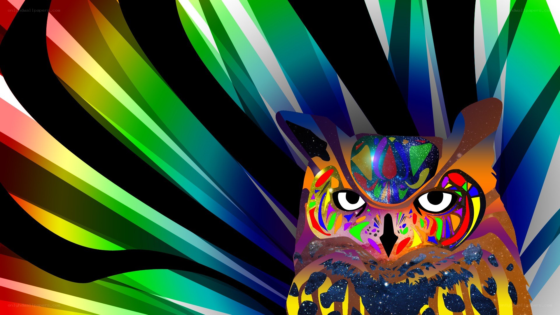 colorful owl with rainbow background