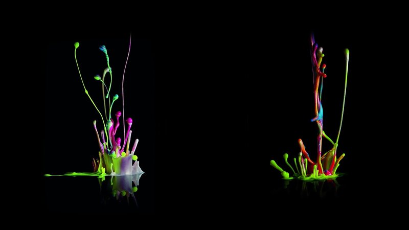 colorful paint splashes