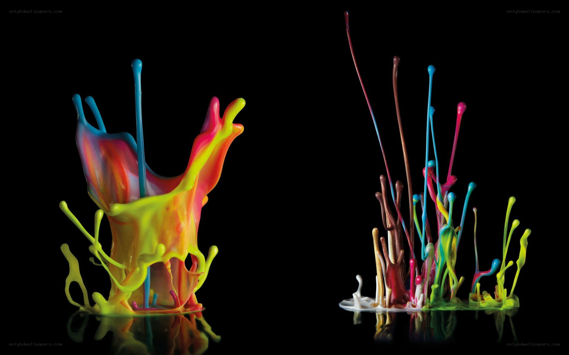 Colorful paint splashes