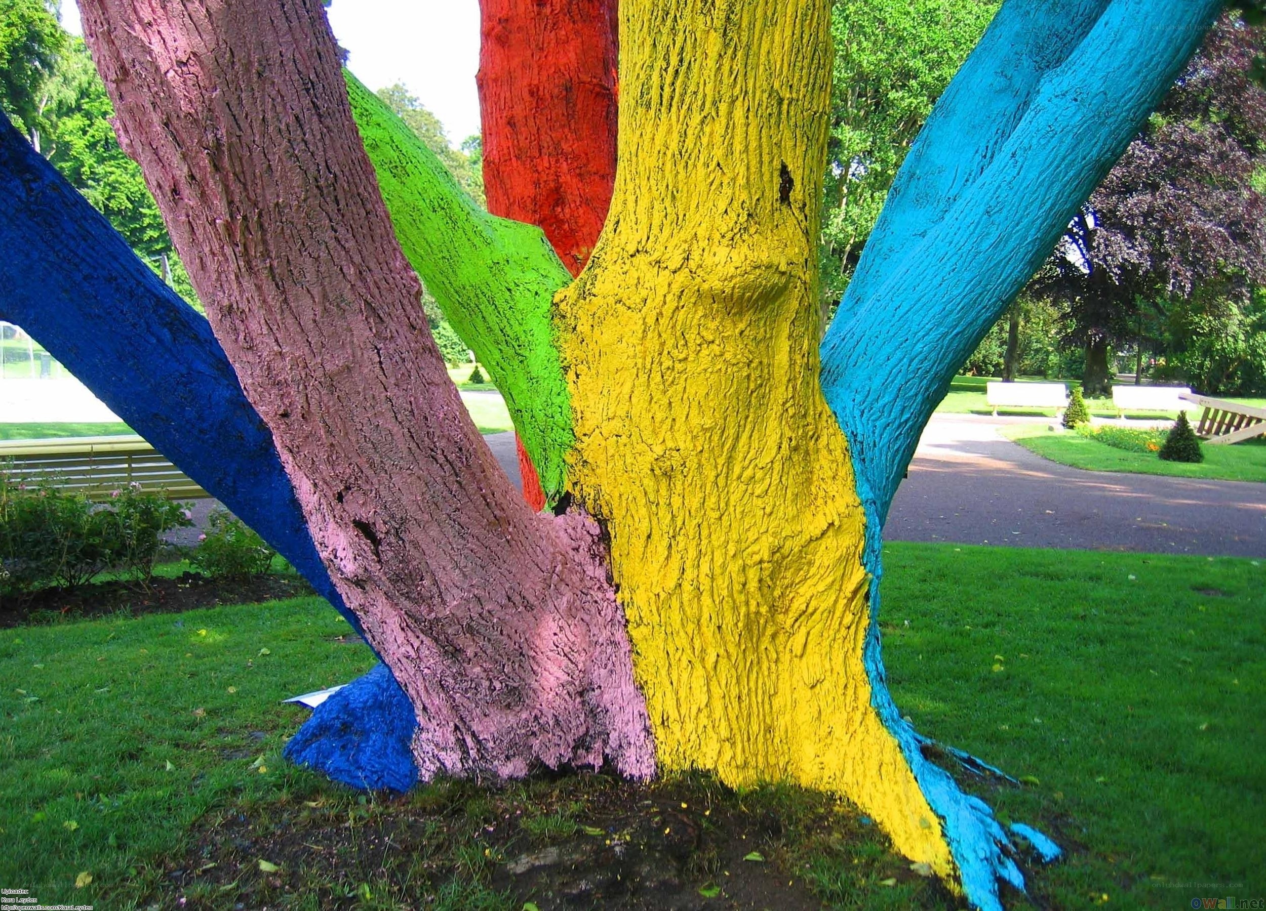 colorful painted tree sculpture