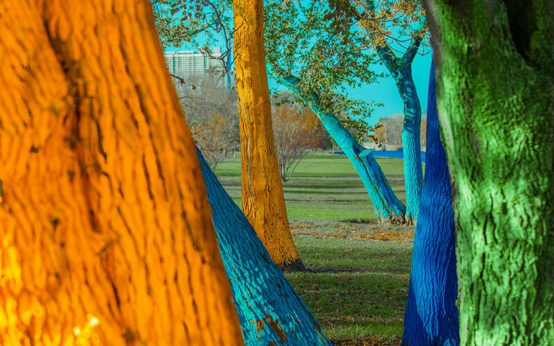 Colorful Painted Trees