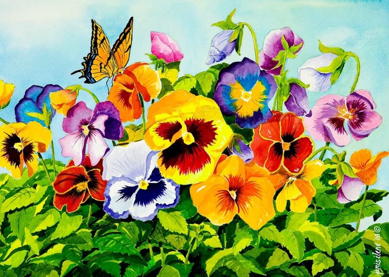 Colorful Pansies and Butterfly