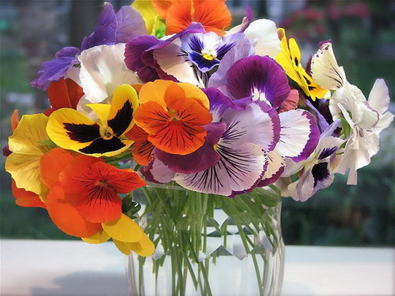 Colorful pansy bouquet