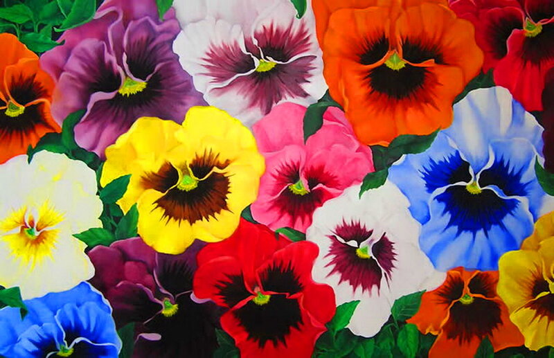 Colorful Pansy Flowers — Yellow, Vibrant, Painting