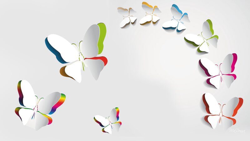 Colorful Paper Butterflies
