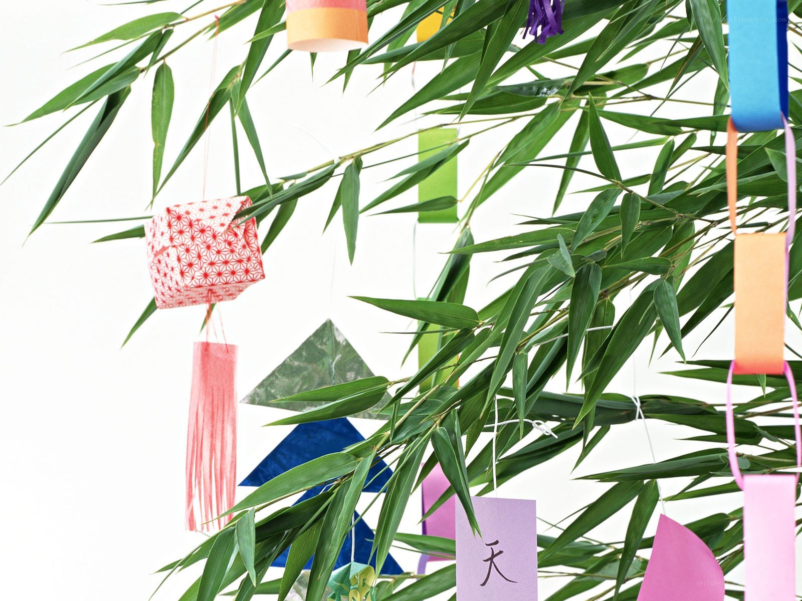 Colorful paper decorations on bamboo