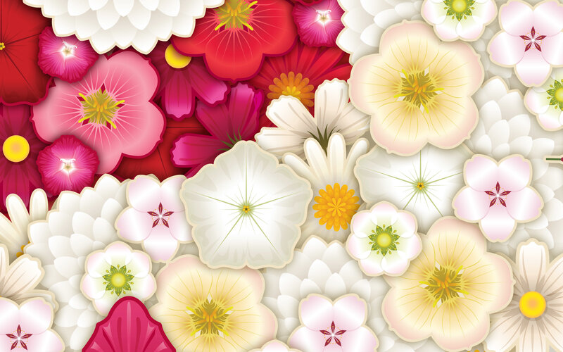 Colorful Paper Flowers — White