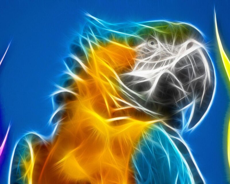 Colorful Parrot — Blue