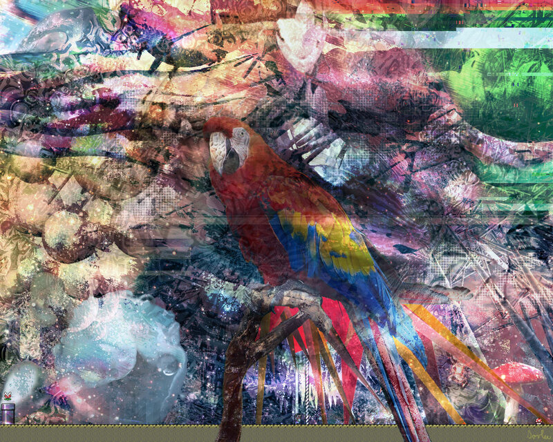 colorful parrot collage