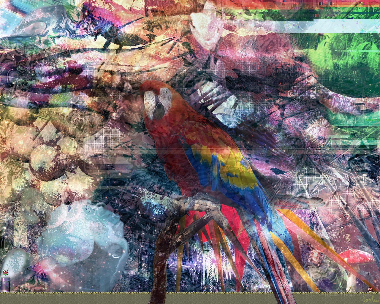 colorful parrot collage