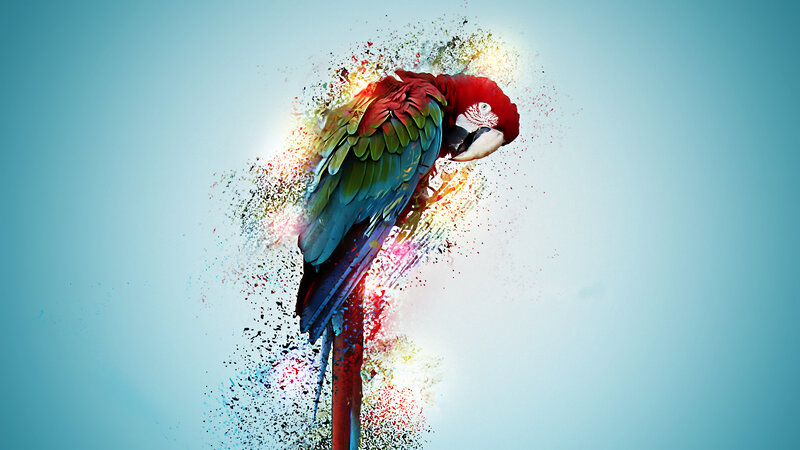 Colorful Parrot Explosion — Red