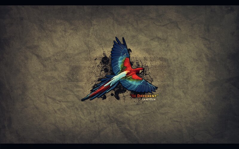 Colorful parrot flying