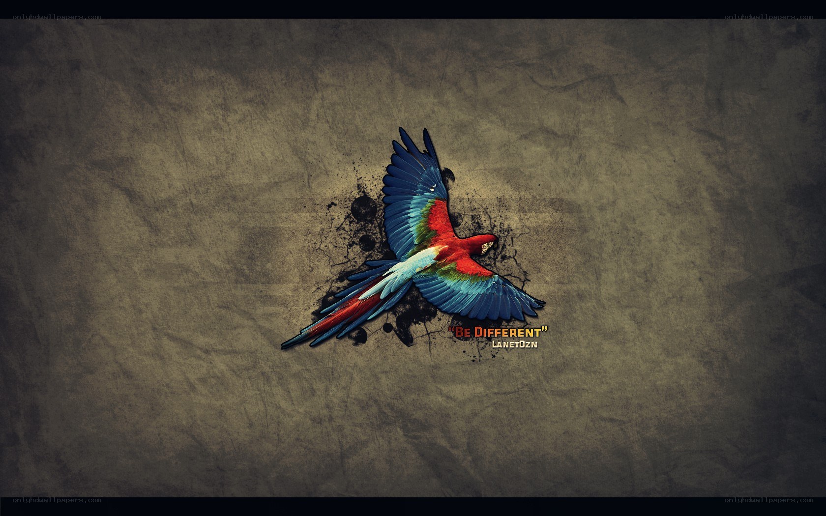 Colorful parrot flying