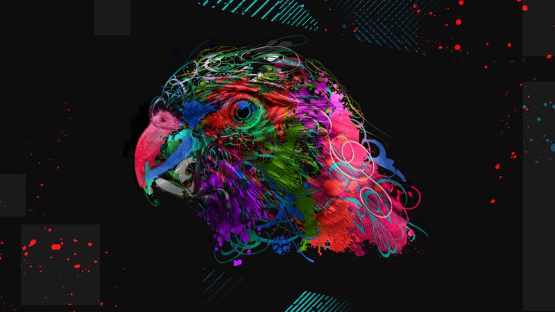 Colorful Parrot Head — Black