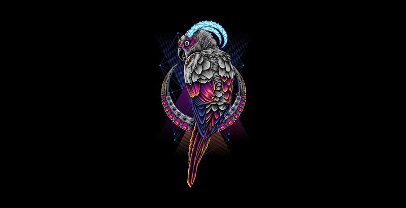 Colorful Parrot Illustration