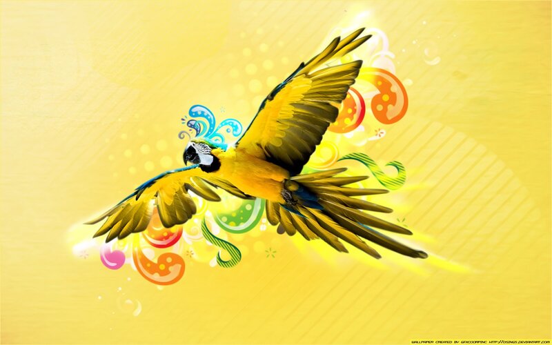 Colorful parrot in flight