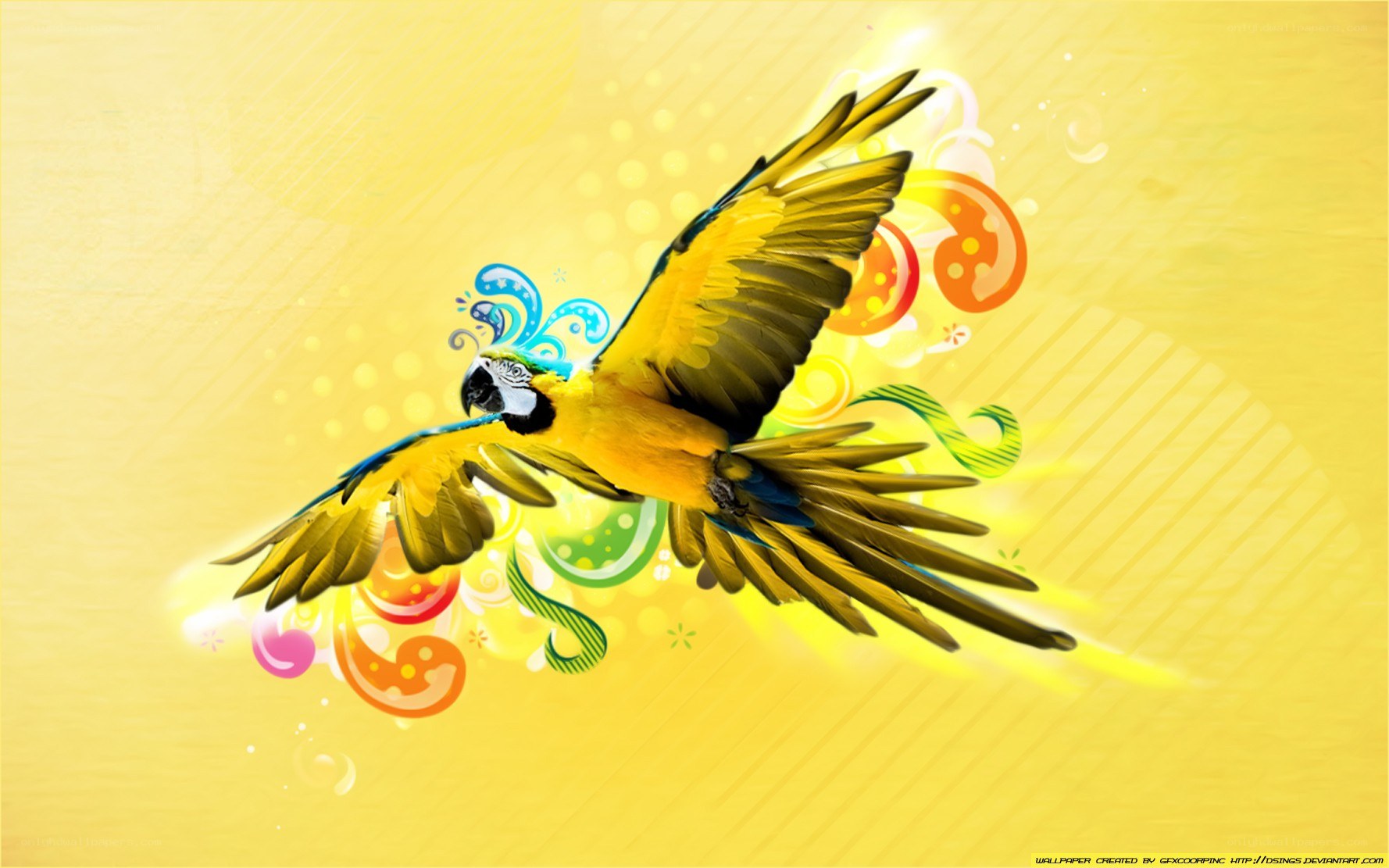 Colorful parrot in flight
