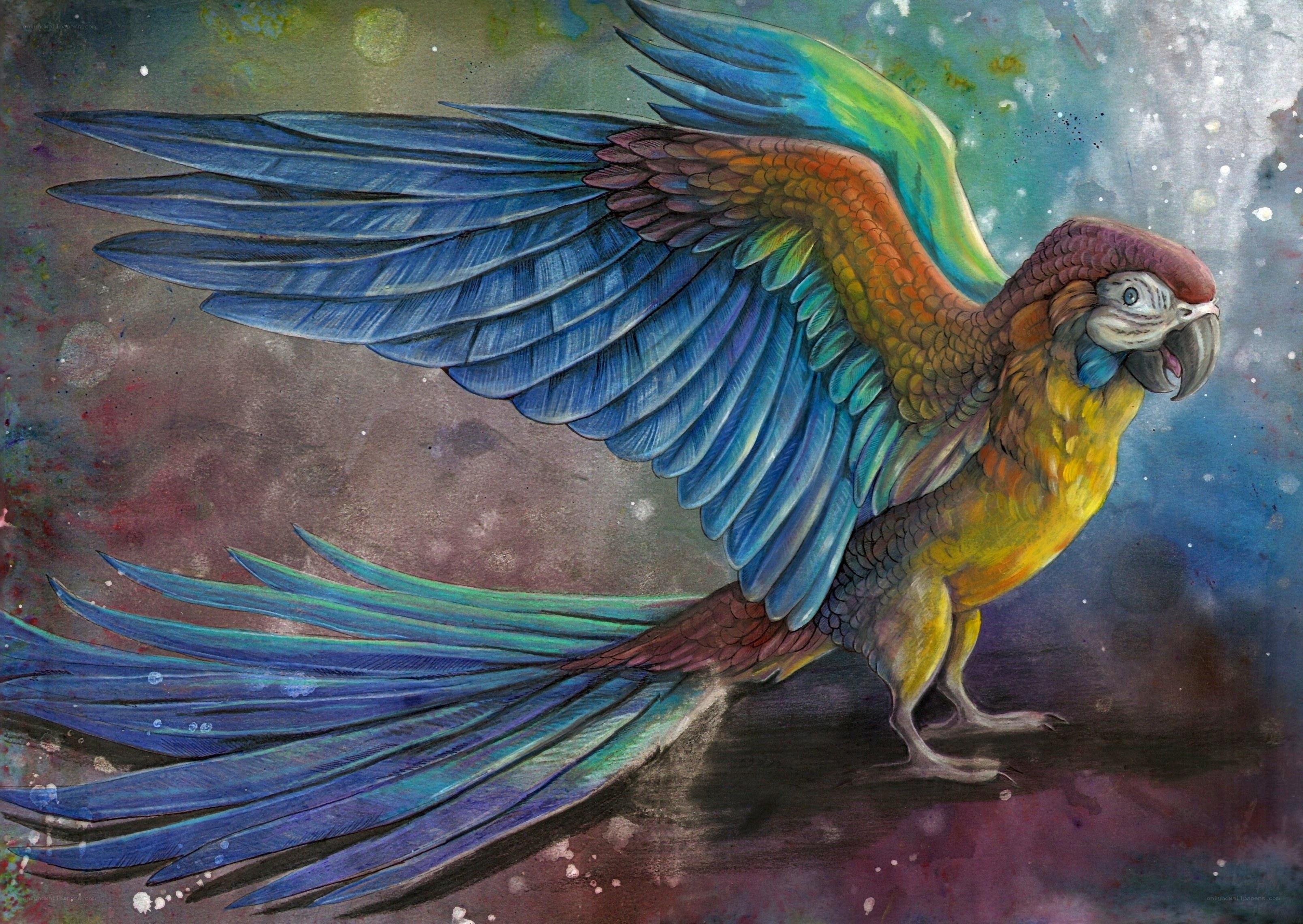 Colorful parrot in flight