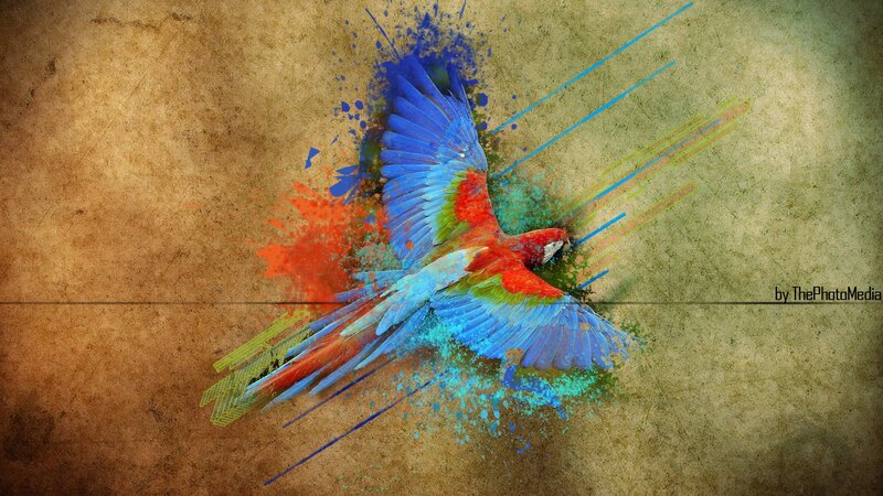 Colorful Parrot in Flight — Blue, Dynamic
