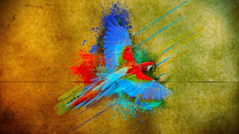Colorful Parrot in Flight — Blue