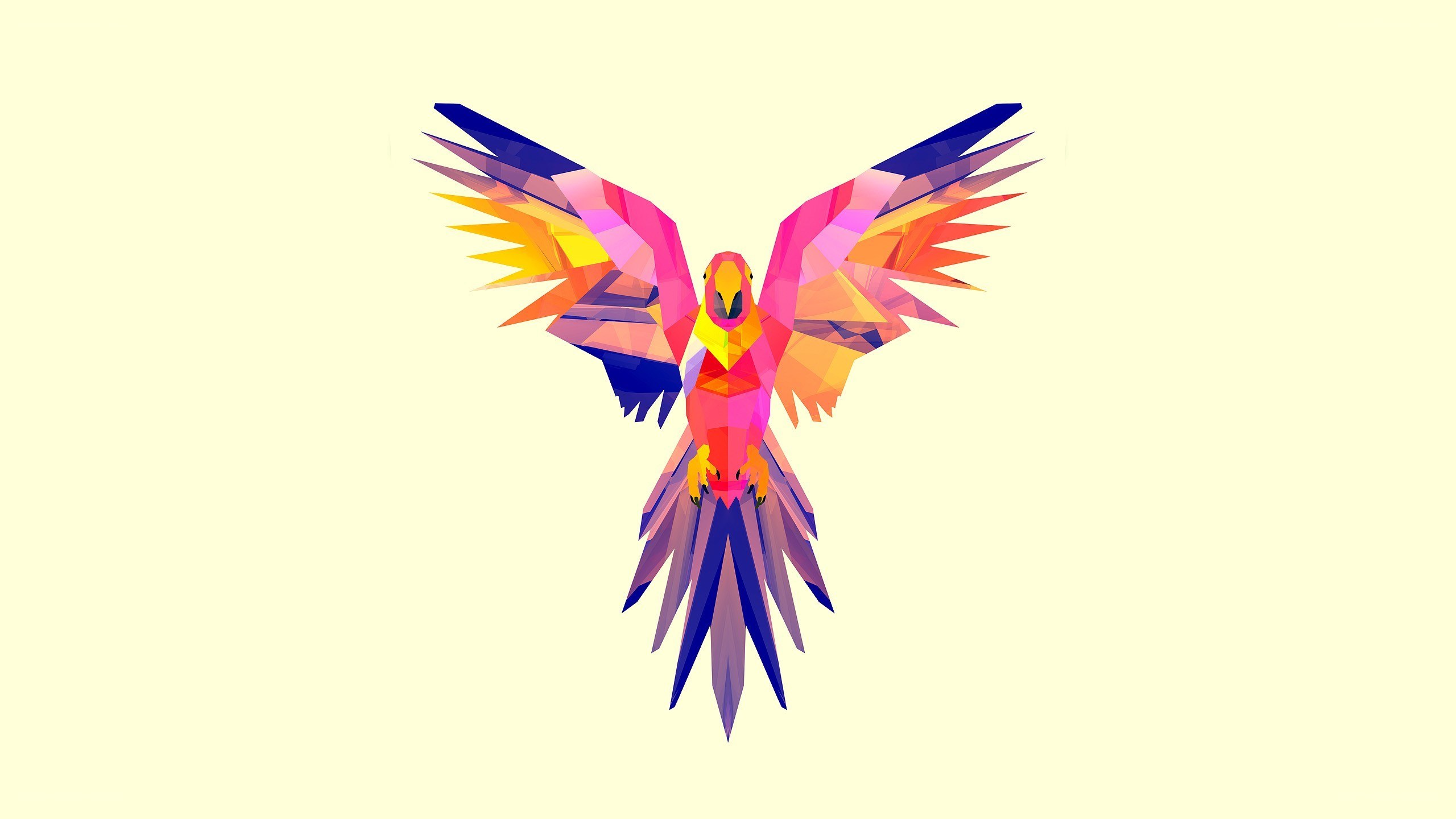 colorful parrot in flight