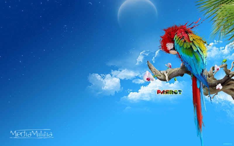 Colorful parrot on a branch