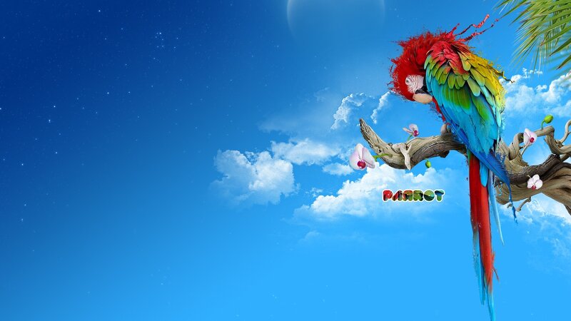Colorful parrot on a branch