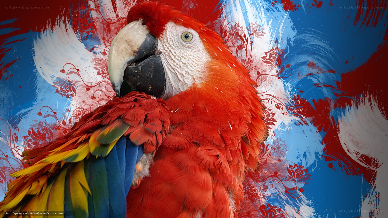 Colorful parrot on abstract background