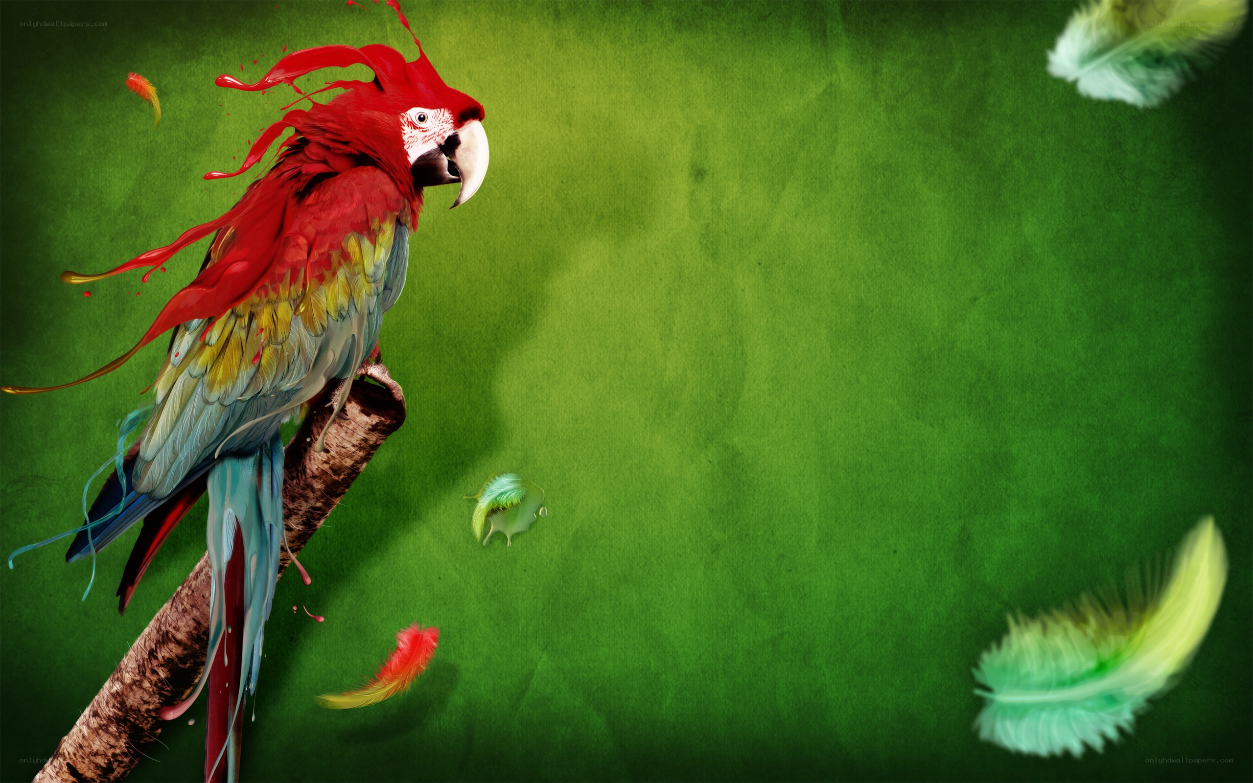 Colorful parrot on branch