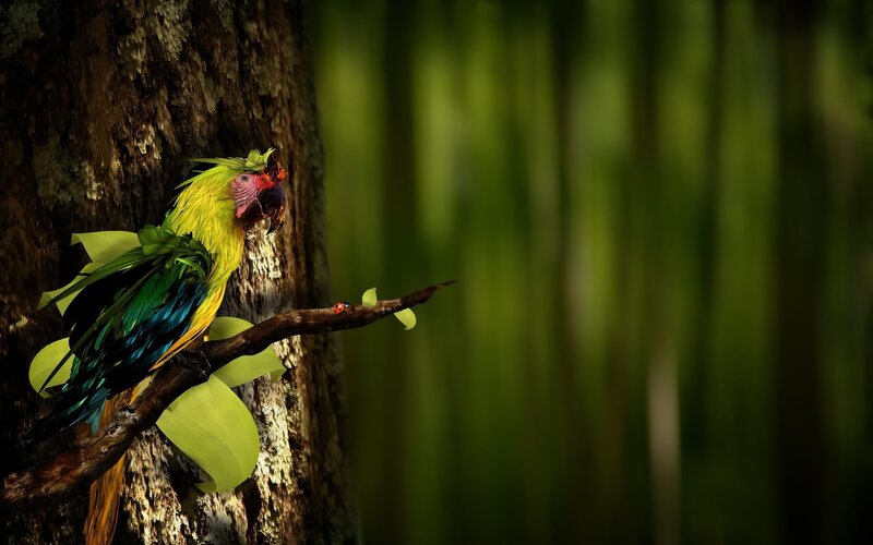 Colorful Parrot on Branch — Green, Serene, Digital Art, Tree Trunk, Ladybug, Leaves